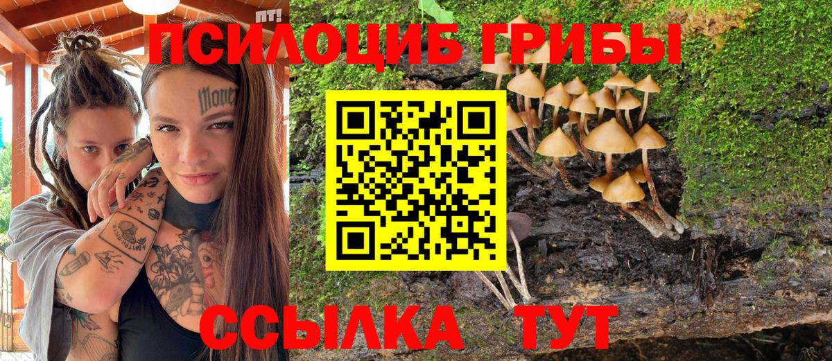 Галлюциногенные грибы Cubensis Сердобск