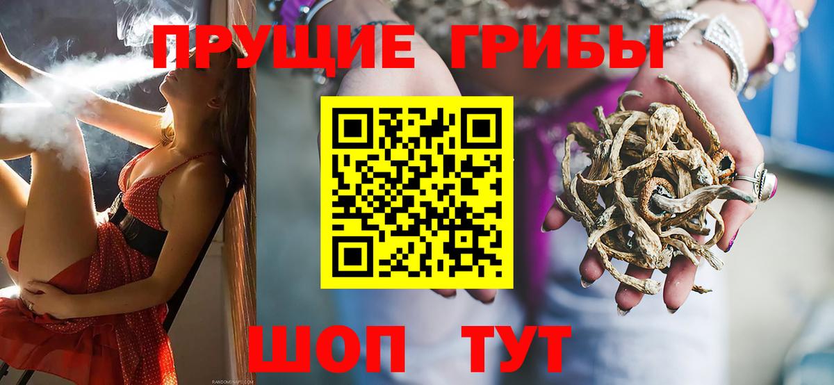 Галлюциногенные грибы Cubensis  Галлюциногенные грибы MAGIC MUSHROOMS  Сердобск  Вход с VPN 